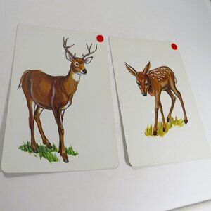 Peabody 60s ANIMALS Deer and Fawn or Doe (2) cards Vintage Artwork